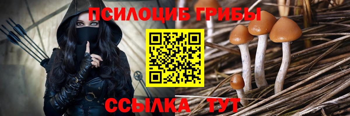 Псилоцибиновые грибы GOLDEN TEACHER Кызыл