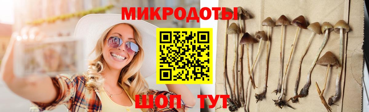 Галлюциногенные грибы прущие грибы  Вход с VPN  Кызыл 